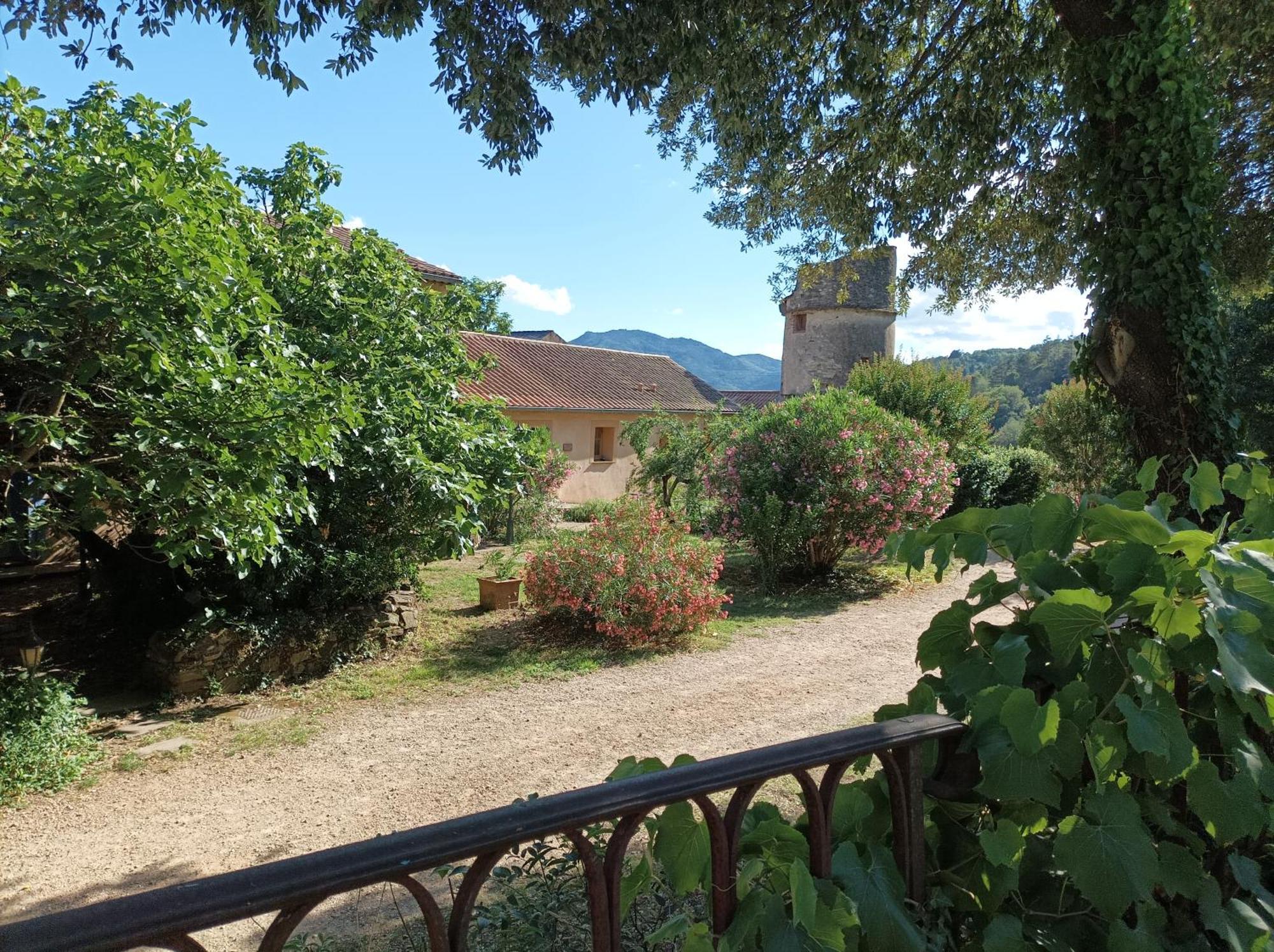 Chateau De Colombieres Sur Orb Екстериор снимка