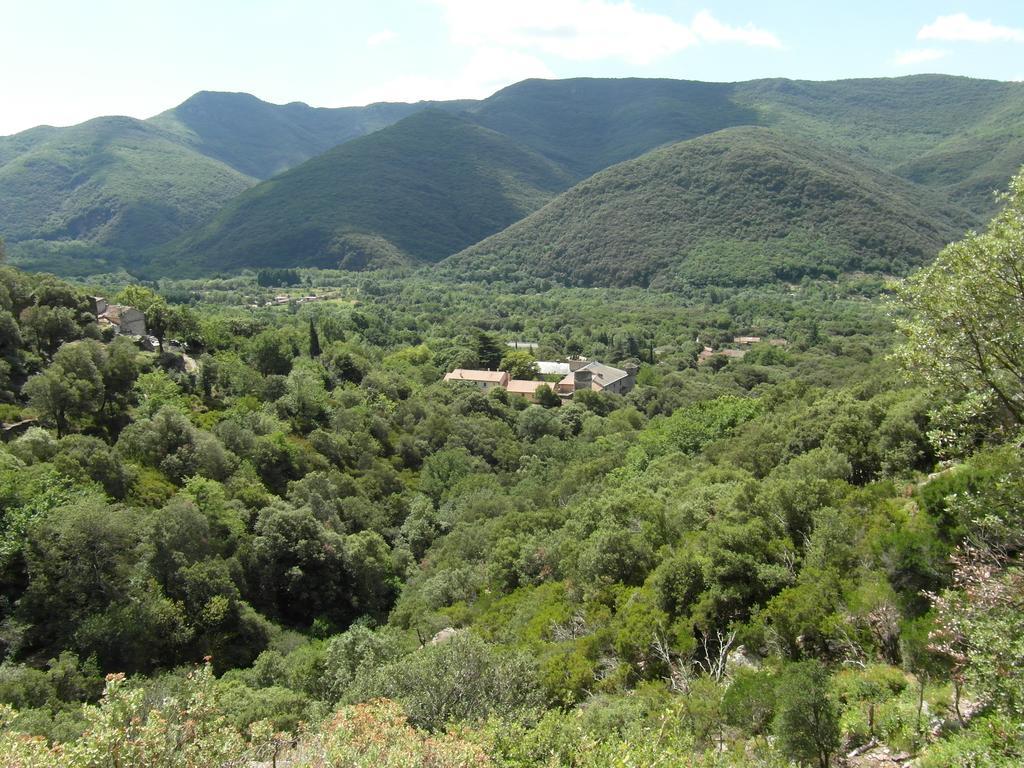 Chateau De Colombieres Sur Orb Екстериор снимка